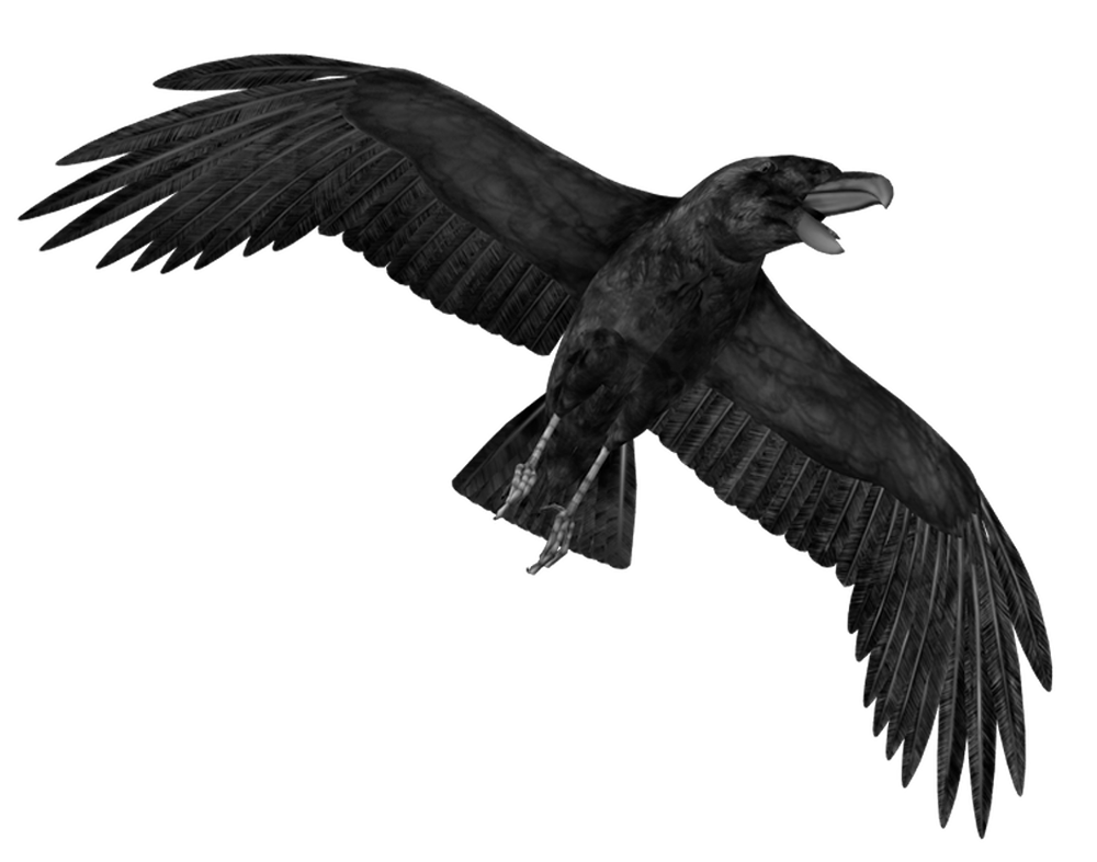Crow 4 Superior-Stock